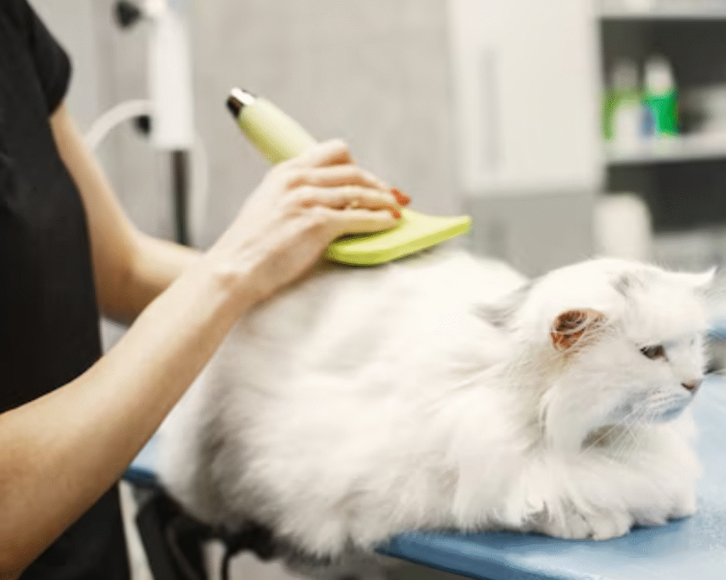 Commercial Washer Repair for pet grooming in metro areas of Mount Pleasant