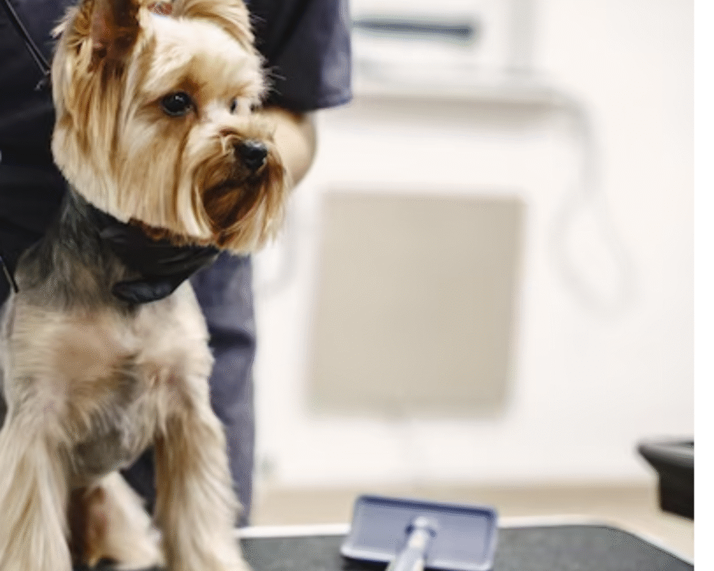 Commercial Washer Repair for pet grooming in metro areas of Cary