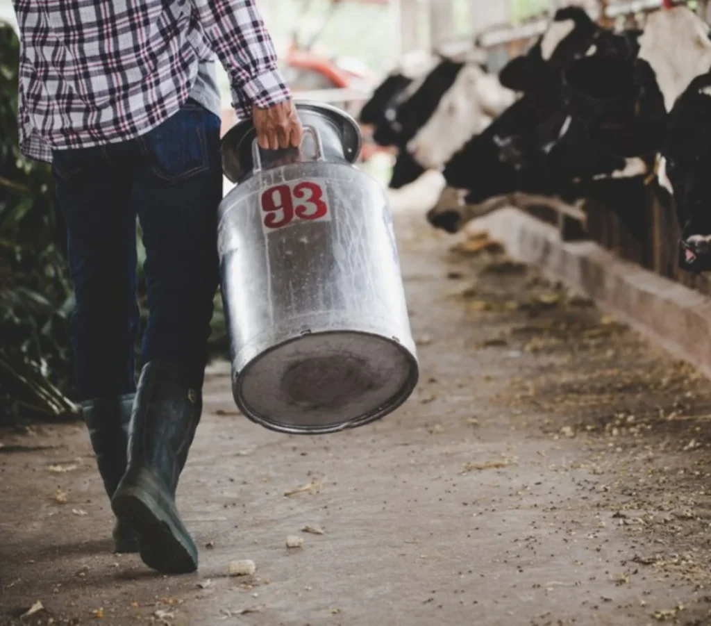 Commercial laundry equipment support for dairy farm operations provided by SELaundry in Summerville.